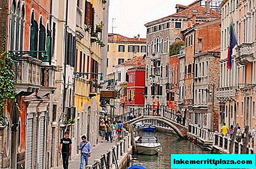 Gastronomic and wine tours from Venice