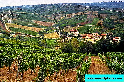 أفضل مناطق إيطاليا لخبراء النبيذ