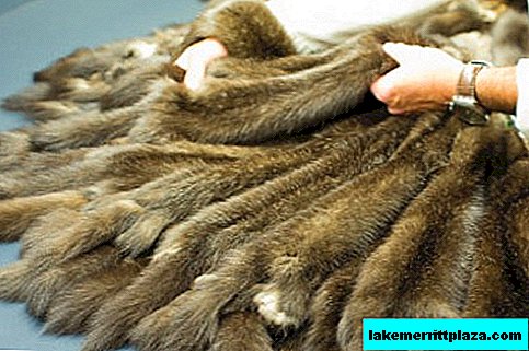Manteaux de fourrure en Italie: où et comment acheter