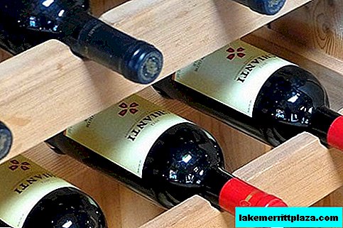 نبيذ توسكانا: رحلات تذوق النبيذ بصحبة مرشدين في وديان شيانتي وفال دورشيا