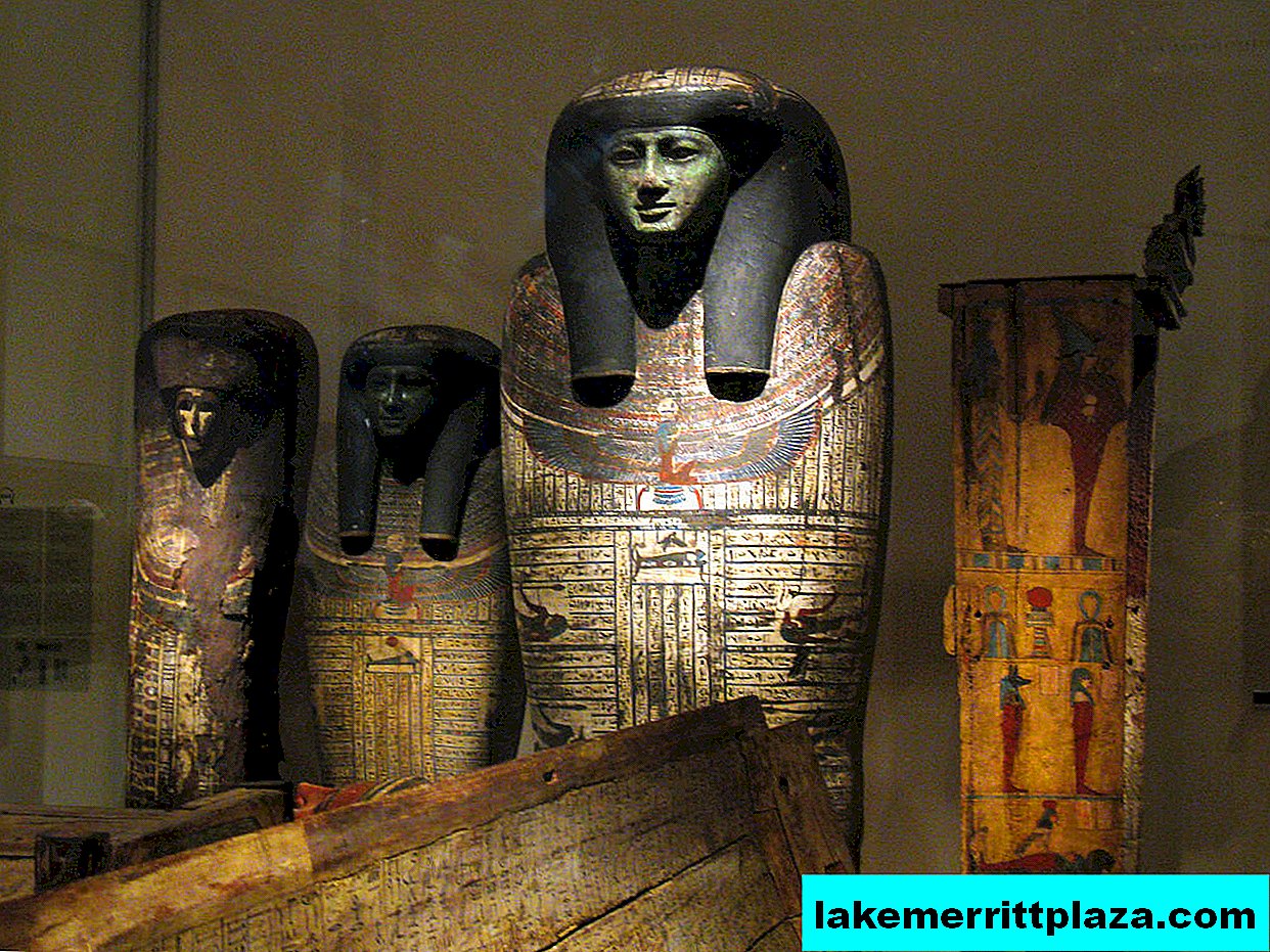 Musée égyptien et collection de papyrus