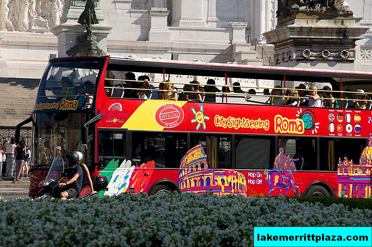 Sightseeing buses in Rome