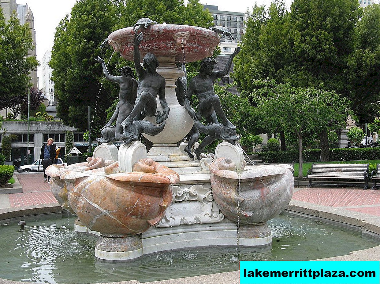 Turtle Fountain on Piazza Mattei