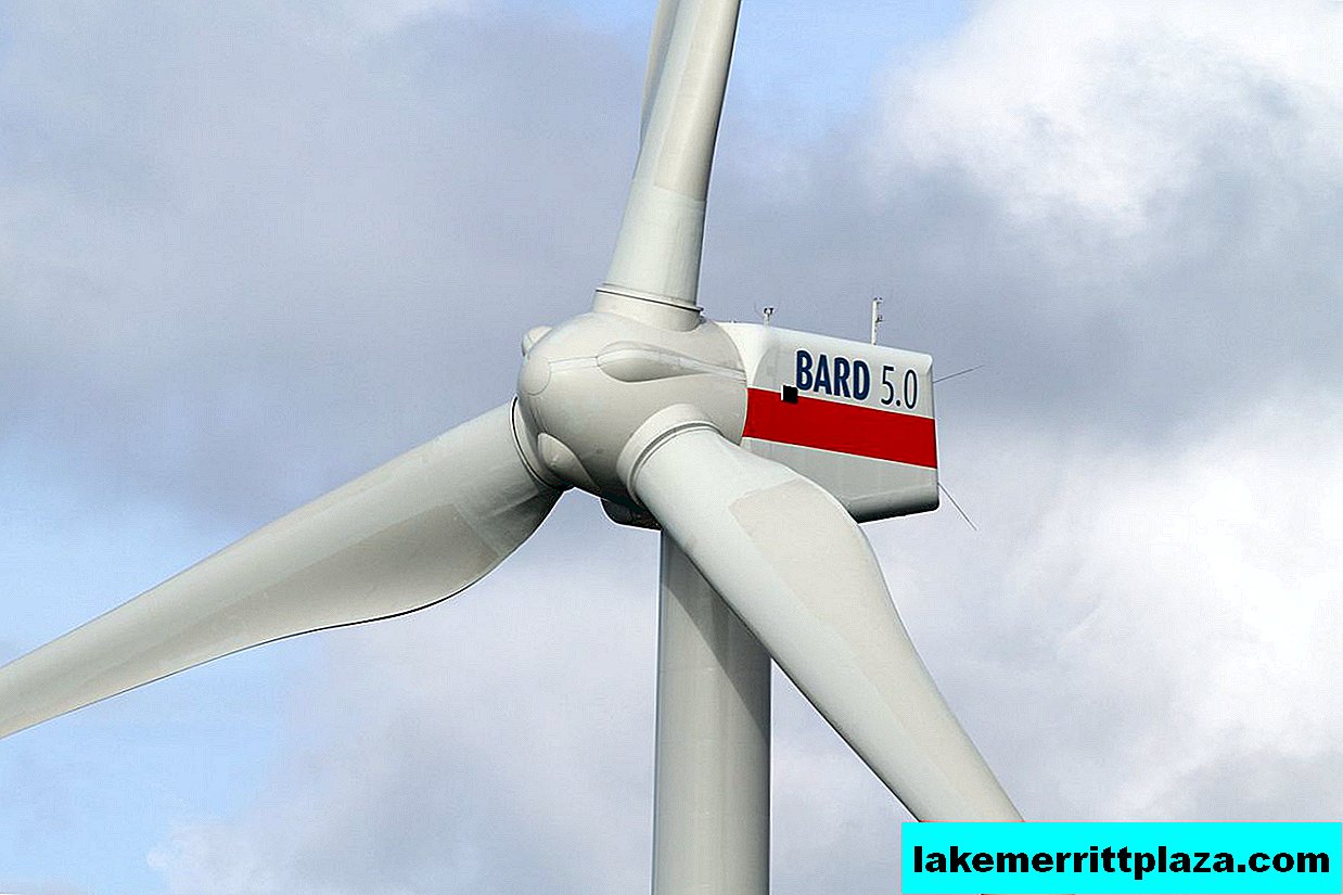 Germany is a world leader in the use of wind energy