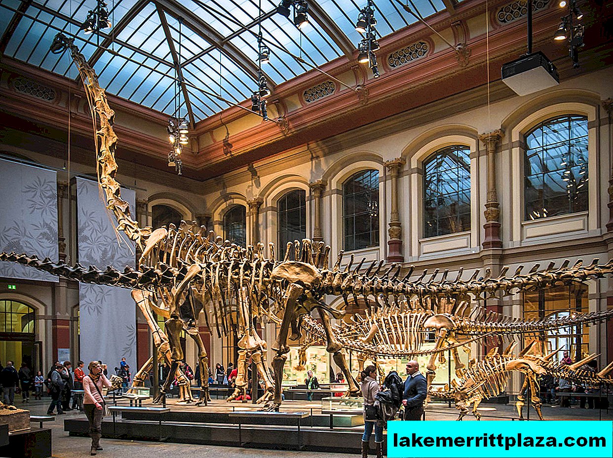 Germany: Museum of Natural History