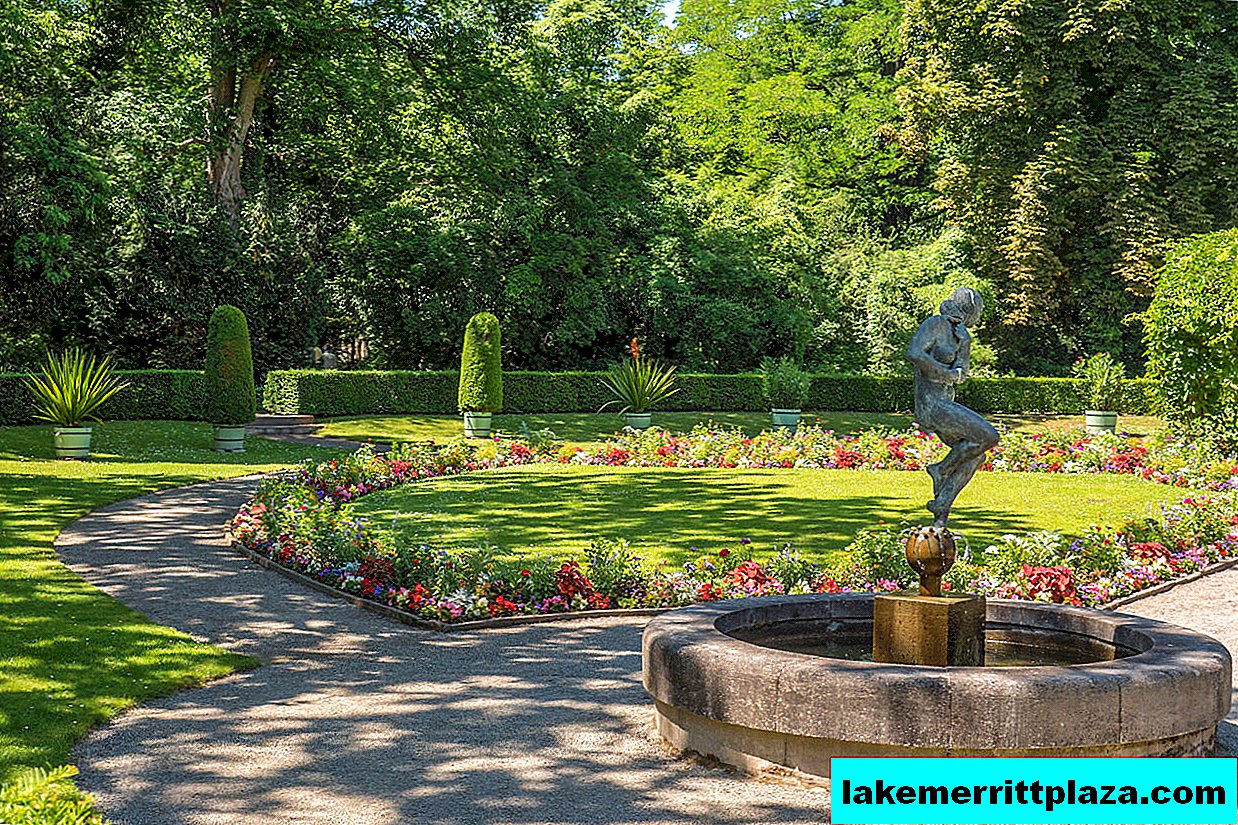 Jardim novo em Potsdam