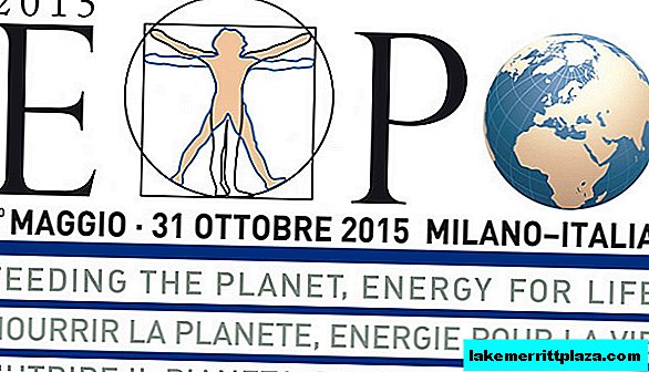 EXPO 2015 في ميلانو يحطم جميع الأرقام القياسية