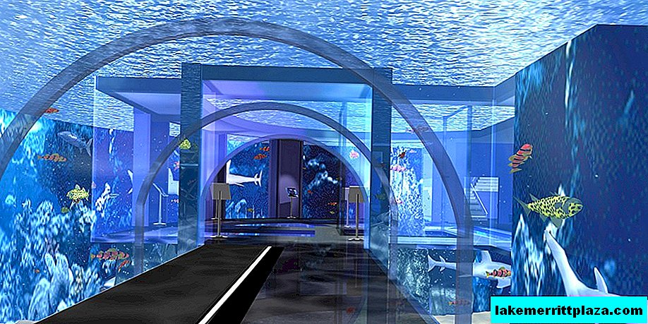 Aquarium von Genua