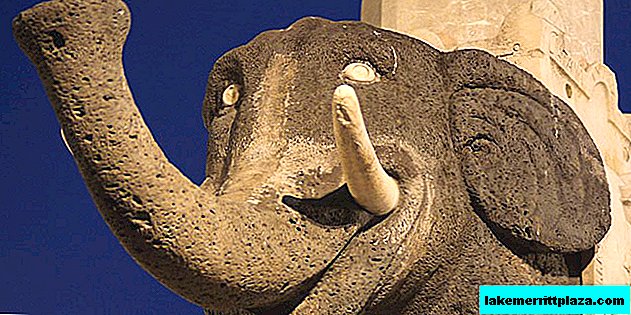 Fonte de elefante - um símbolo de Catania