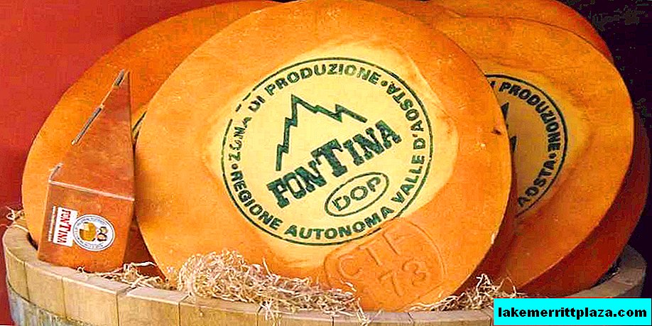 Fontina - el queso de la región del Valle de Aosta