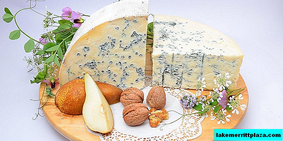 جورجونزولا - الجبن الأزرق الإيطالي