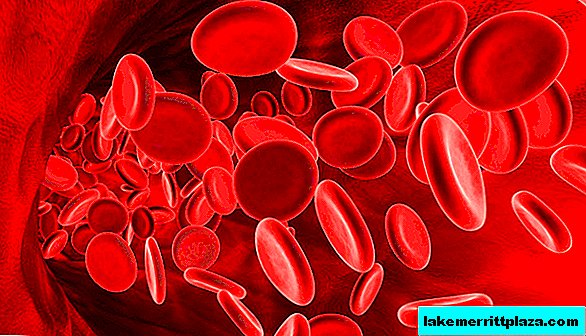 Włochy stały się jednym z europejskich liderów w dziedzinie oddawania krwi