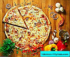 البيتزا الإيطالية التاريخ أنواع تكوين وصفات المطبخ الإيطالي