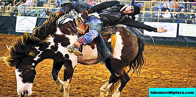 Society: Italian official spends millions on horses for rodeo