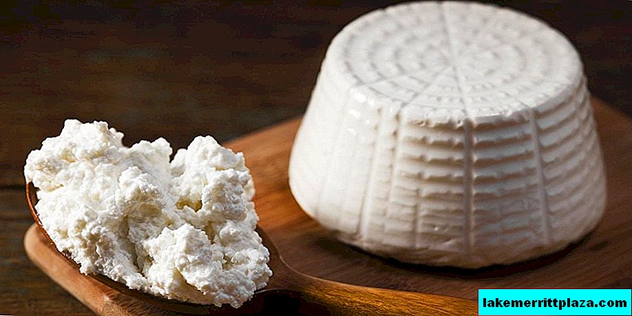 How to make ricotta at home - recipes with photos