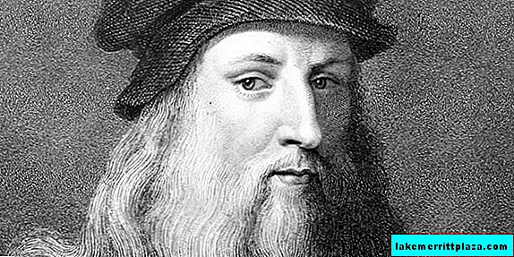 Leonardo da Vinci - génie italien