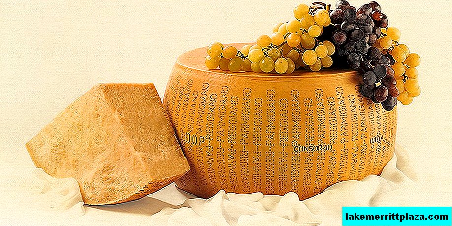 Parmezaanse kaas - de koning van de kaaswereld