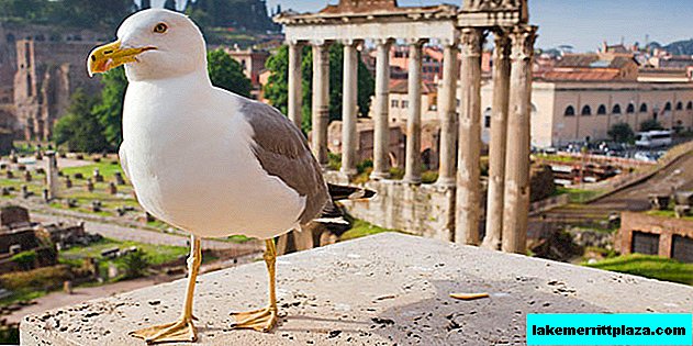 Der erste Ausflug in Rom für Leser "Italien für mich"
