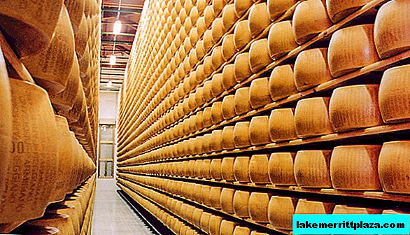 Fünf beste italienische Käsesorten