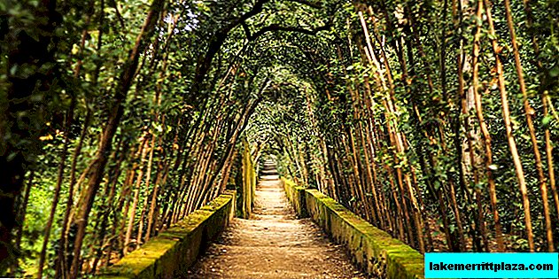 حدائق بوبولي في فلورنسا