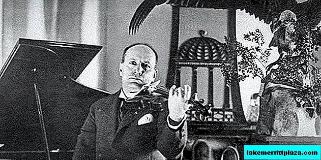 Mussolinis Diktator-Geige zum Verkauf angeboten