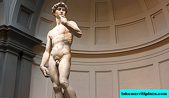 Statue von David von Michelangelo in Florenz